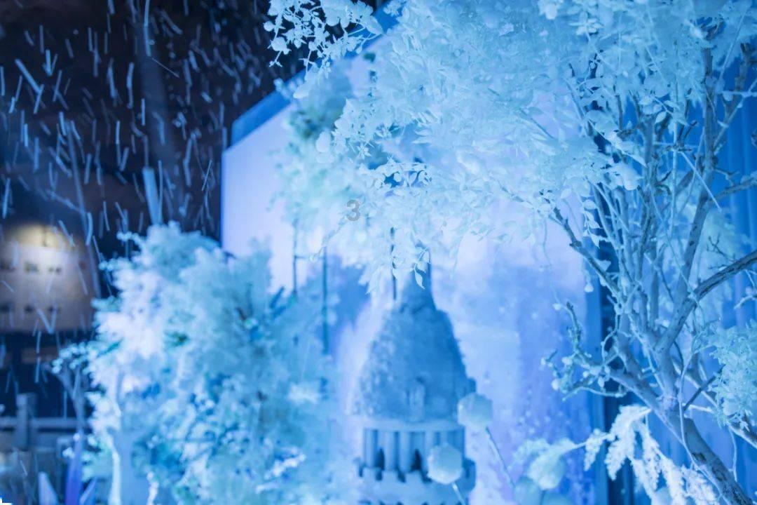 小鸟快跑